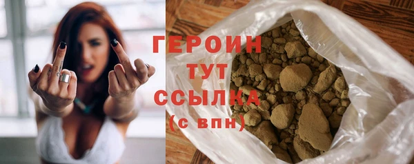 индика Беломорск