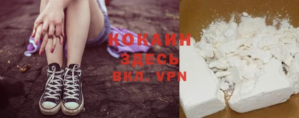 индика Беломорск