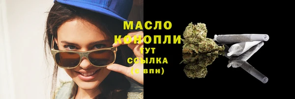 индика Беломорск
