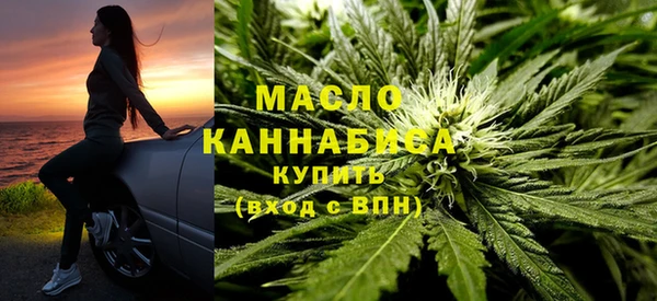 индика Беломорск