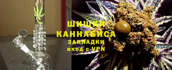 индика Беломорск