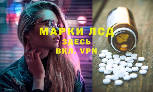 индика Беломорск