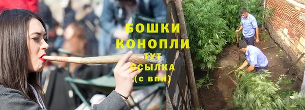 индика Беломорск