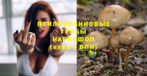 не бодяженный Белокуриха