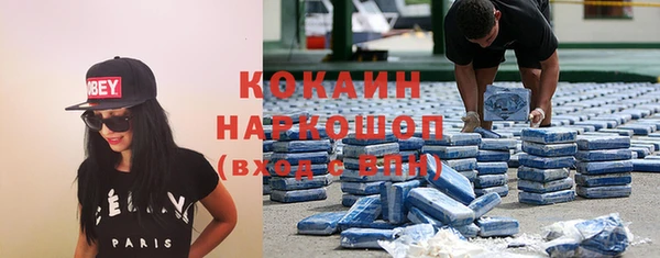 индика Беломорск