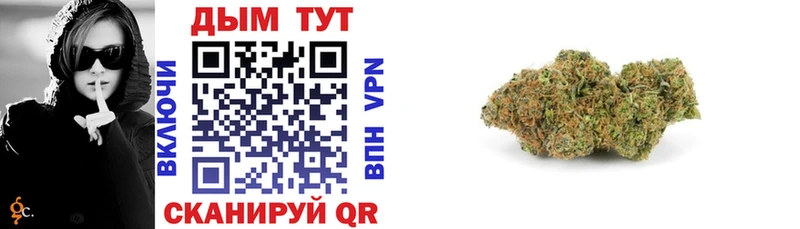 Каннабис гибрид  Купить где  Кирс 